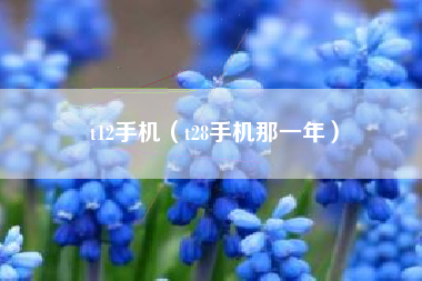 t12手机（t28手机那一年）
