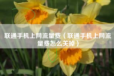 联通手机上网流量费（联通手机上网流量费怎么关掉）