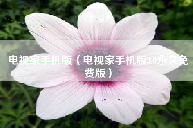 电视家手机版（电视家手机版3.0永久免费版）