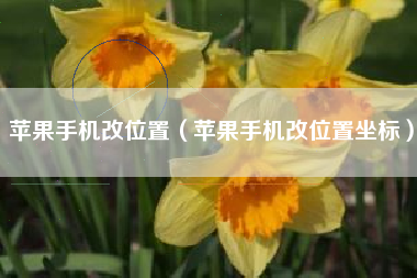 苹果手机改位置（苹果手机改位置坐标）