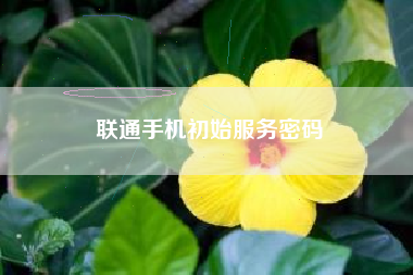 联通手机初始服务密码