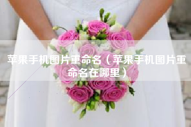 苹果手机图片重命名（苹果手机图片重命名在哪里）