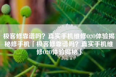 极客修靠谱吗？真实手机维修O2O体验揭秘修手机「极客修靠谱吗？真实手机维修O2O体验揭秘」