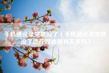 手机通讯录突然没了（手机通讯录突然没了跟花呗逾期有关系吗）