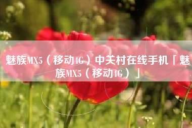 魅族MX5（移动4G）中关村在线手机「魅族MX5（移动4G）」