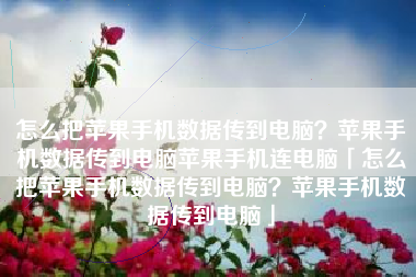 怎么把苹果手机数据传到电脑？苹果手机数据传到电脑苹果手机连电脑「怎么把苹果手机数据传到电脑？苹果手机数据传到电脑」