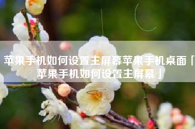 苹果手机如何设置主屏幕苹果手机桌面「苹果手机如何设置主屏幕」