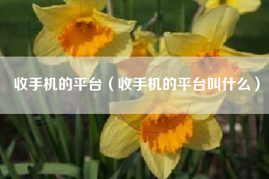 收手机的平台（收手机的平台叫什么）