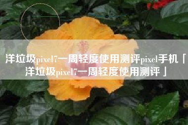 洋垃圾pixel7一周轻度使用测评pixel手机「洋垃圾pixel7一周轻度使用测评」