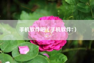 手机软件吧（手机软件7）