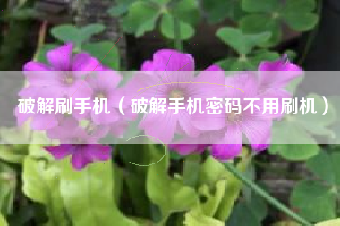 破解刷手机（破解手机密码不用刷机）