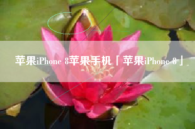 苹果iPhone 8苹果手机「苹果iPhone 8」