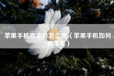 苹果手机查串号怎么查（苹果手机如何查串号）