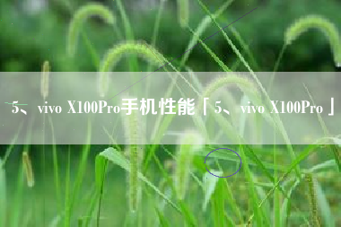 5、vivo X100Pro手机性能「5、vivo X100Pro」