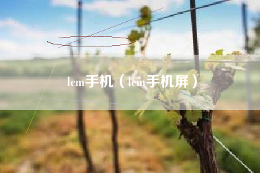 lcm手机（lcm手机屏）
