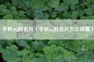 手机QQ群名片（手机qq群名片怎么设置）