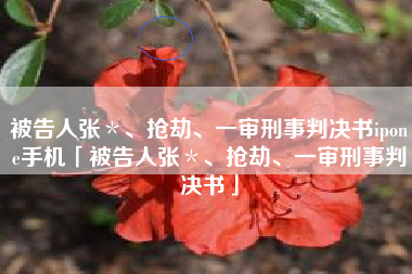 被告人张＊、抢劫、一审刑事判决书ipone手机「被告人张＊、抢劫、一审刑事判决书」