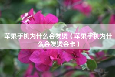 苹果手机为什么会发烫（苹果手机为什么会发烫会卡）