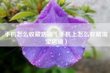 手机怎么收藏店铺（手机上怎么收藏淘宝店铺）