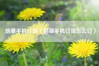 烟草手机订货（烟草手机订货怎么订）