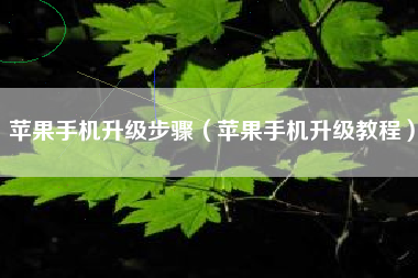 苹果手机升级步骤（苹果手机升级教程）