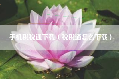 手机税税通下载（税税通怎么下载）