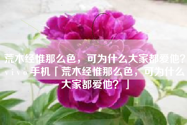 荒木经惟那么色，可为什么大家都爱他？v i v o 手机「荒木经惟那么色，可为什么大家都爱他？」