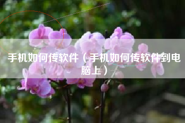 手机如何传软件（手机如何传软件到电脑上）