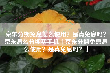 京东分期免息怎么使用？是真免息吗？京东怎么分期买手机「京东分期免息怎么使用？是真免息吗？」