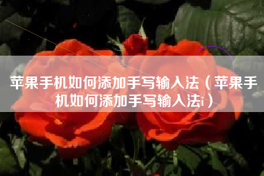 苹果手机如何添加手写输入法（苹果手机如何添加手写输入法i）