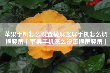 苹果手机怎么设置横屏竖屏手机怎么调横竖屏「苹果手机怎么设置横屏竖屏」