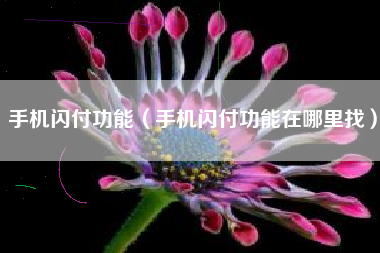 手机闪付功能（手机闪付功能在哪里找）