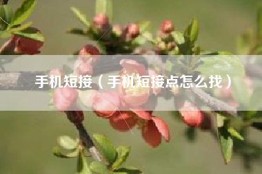 手机短接（手机短接点怎么找）