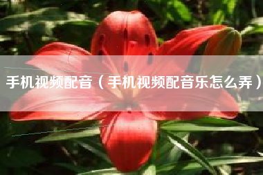 手机视频配音（手机视频配音乐怎么弄）