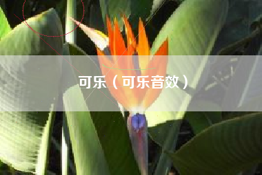 可乐（可乐音效）