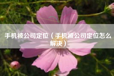 手机被公司定位（手机被公司定位怎么解决）