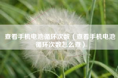 查看手机电池循环次数（查看手机电池循环次数怎么查）