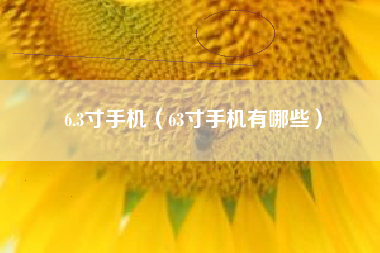 6.3寸手机（63寸手机有哪些）