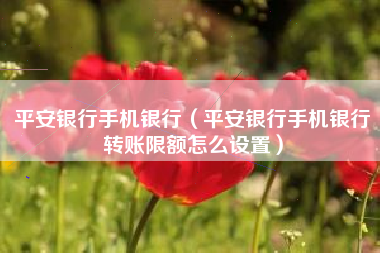 平安银行手机银行（平安银行手机银行转账限额怎么设置）