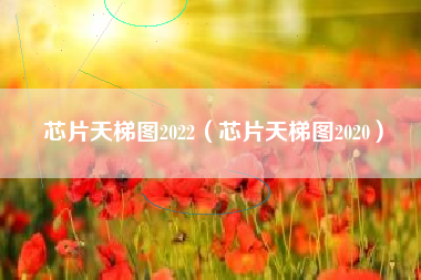 芯片天梯图2022（芯片天梯图2020）