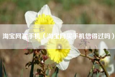 淘宝网买手机（淘宝网买手机信得过吗）