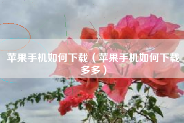 苹果手机如何下载（苹果手机如何下载多多）