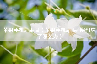 苹果手机apple id（苹果手机appleid密码忘了怎么办）