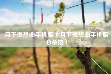月下夜想曲手机版（月下夜想曲手机版必杀技）