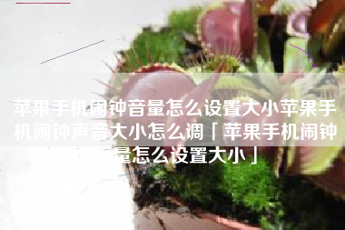 苹果手机闹钟音量怎么设置大小苹果手机闹钟声音大小怎么调「苹果手机闹钟音量怎么设置大小」