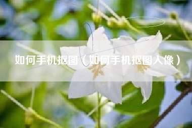 如何手机抠图（如何手机抠图人像）