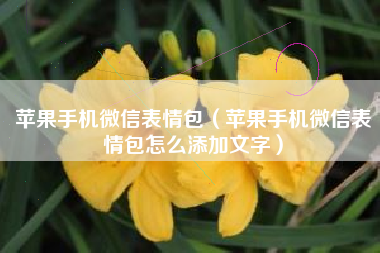 苹果手机微信表情包（苹果手机微信表情包怎么添加文字）
