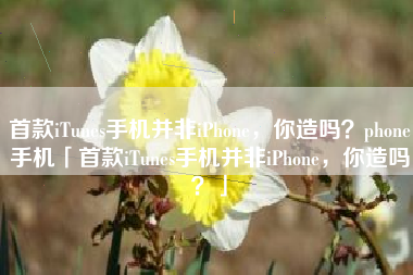 首款iTunes手机并非iPhone，你造吗？phone手机「首款iTunes手机并非iPhone，你造吗？」