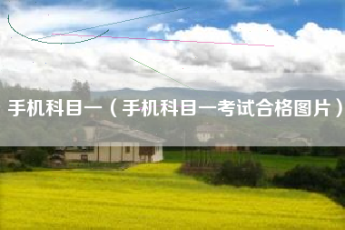 手机科目一（手机科目一考试合格图片）
