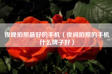 夜晚拍照最好的手机（夜间拍照的手机什么牌子好）